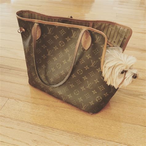 louis vuitton dog bag replica